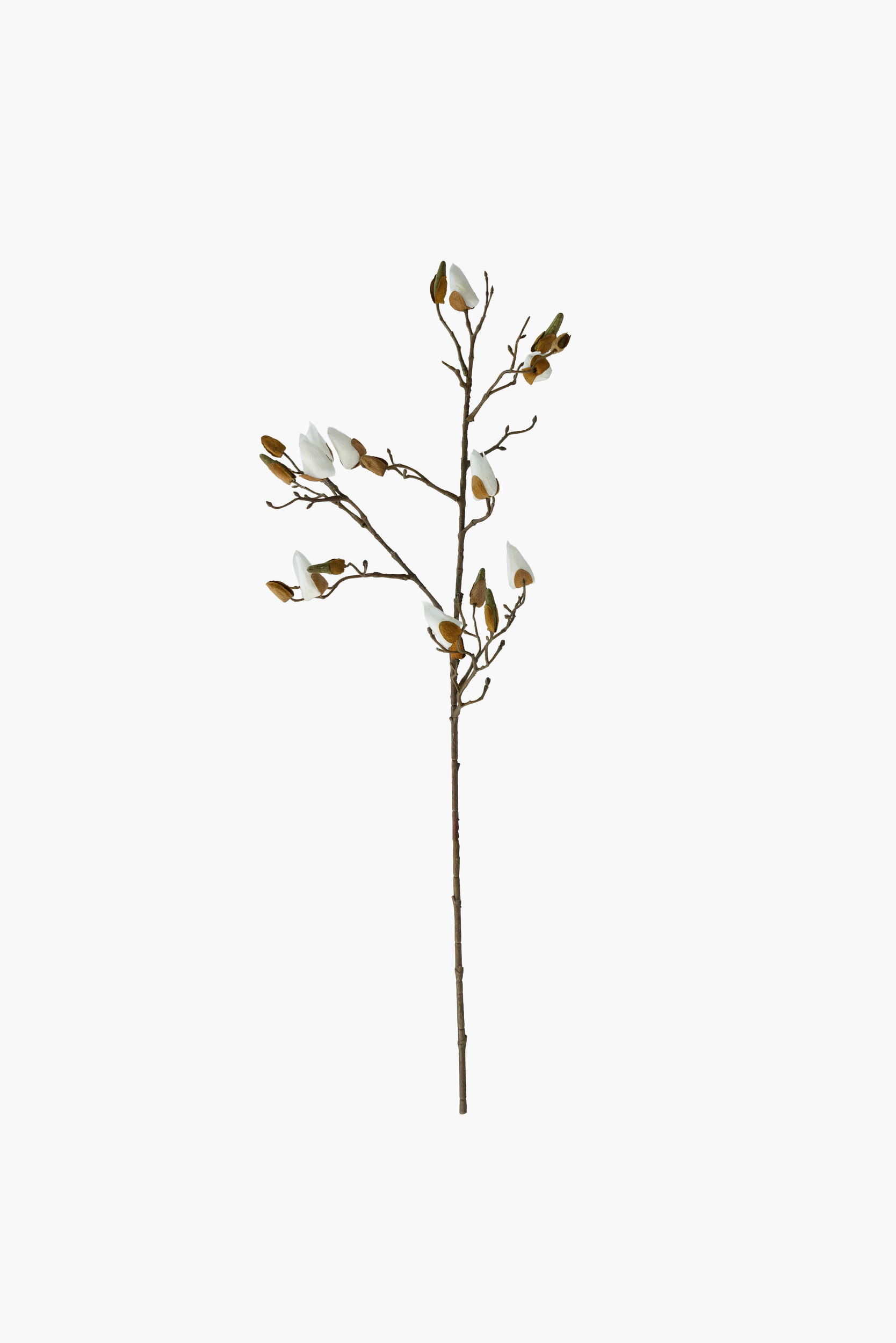 Medium Branch Magnolia Buds - White (Real Touch)