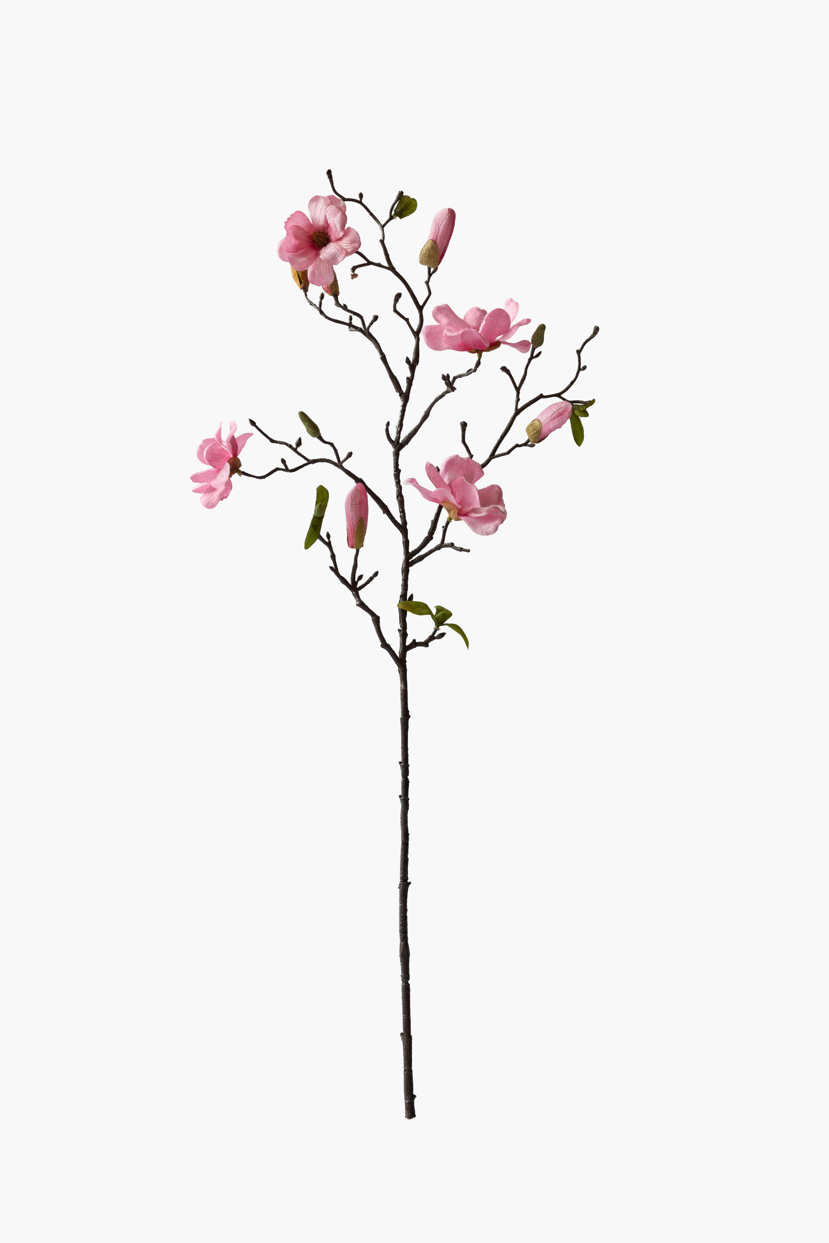 Medium Branch Saucer Magnolia - Pink (Cotton Fabric)