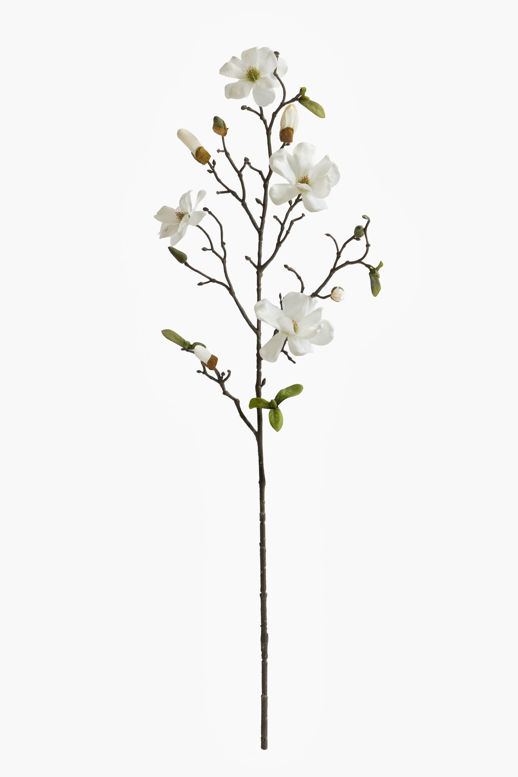 Medium Branch Saucer Magnolia - White