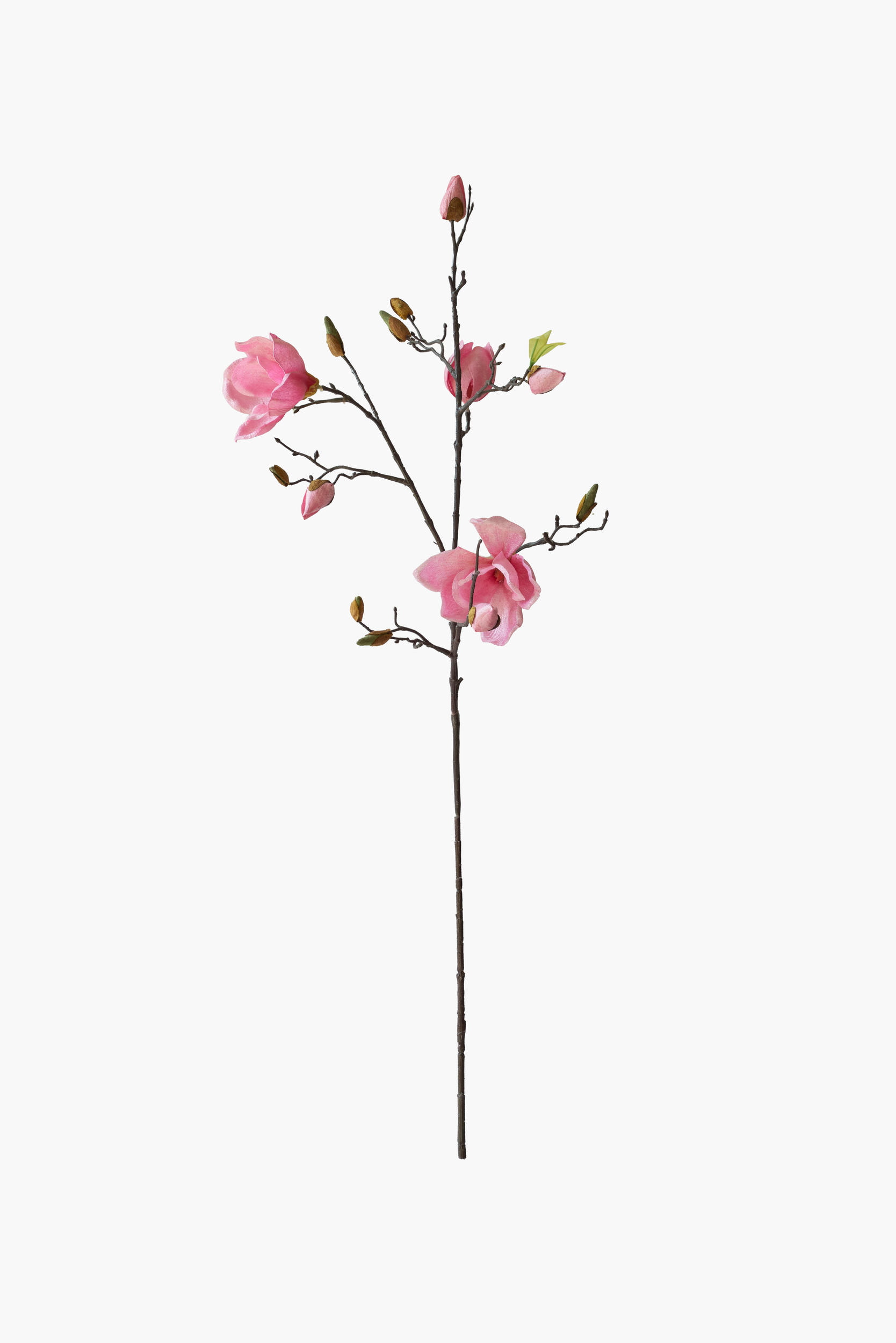 Medium Branch Yulan Magnolia - Pink (Cotton Fabric)