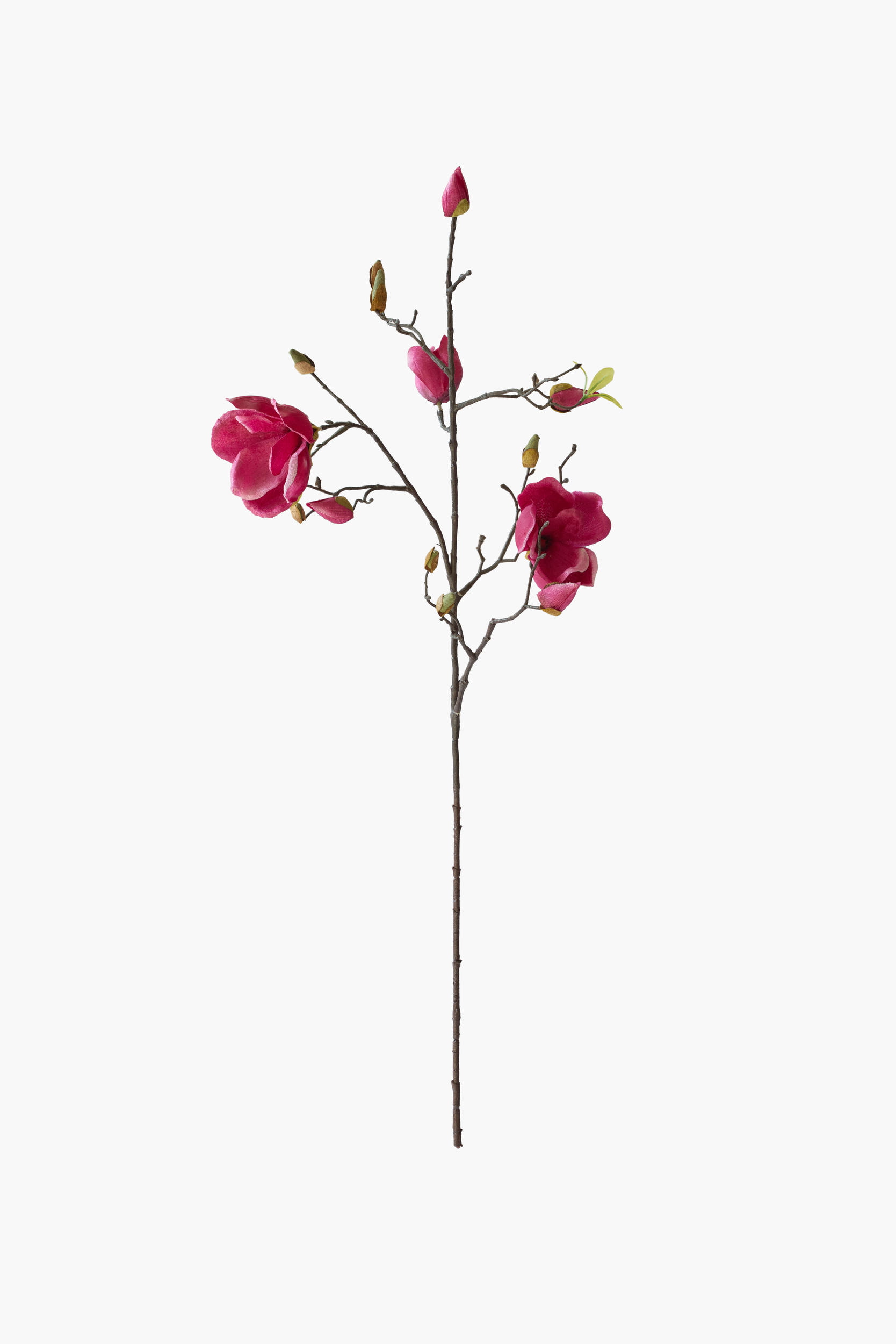 Medium Branch Yulan Magnolia - Red (Cotton Fabric)