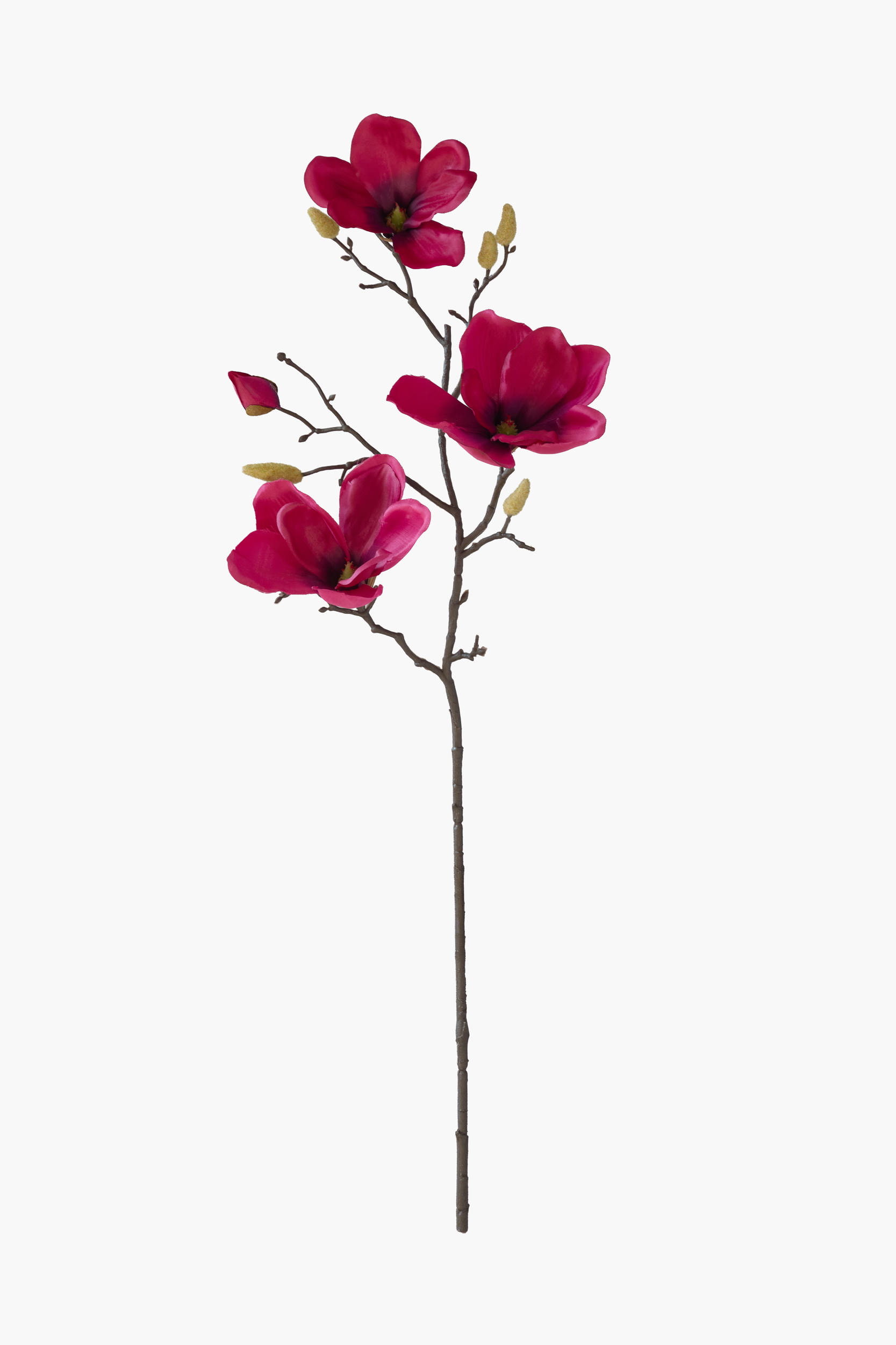 Medium Branch Yulan Magnolia - Dark Red