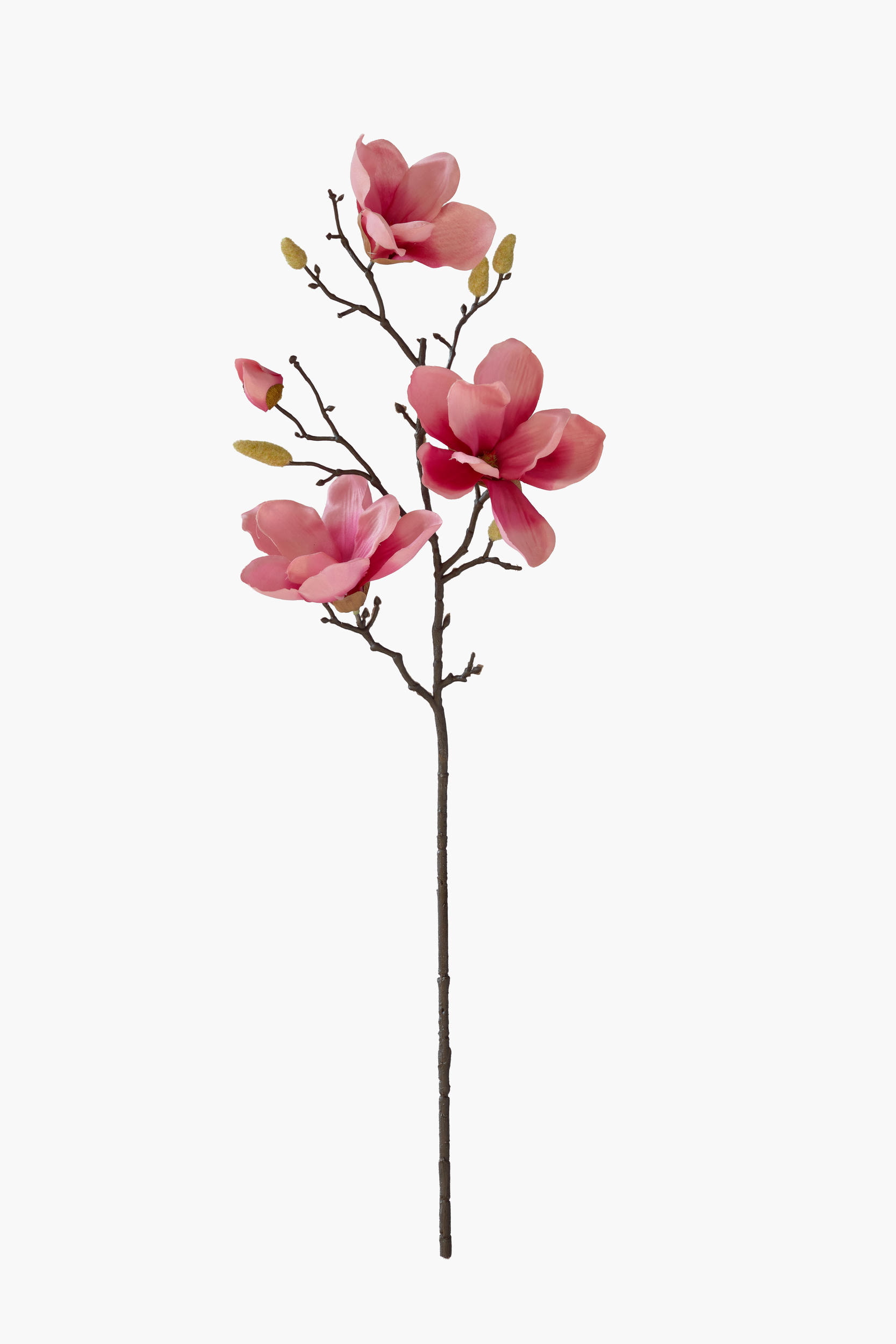 Medium Branch Yulan Magnolia - FuchiaPink