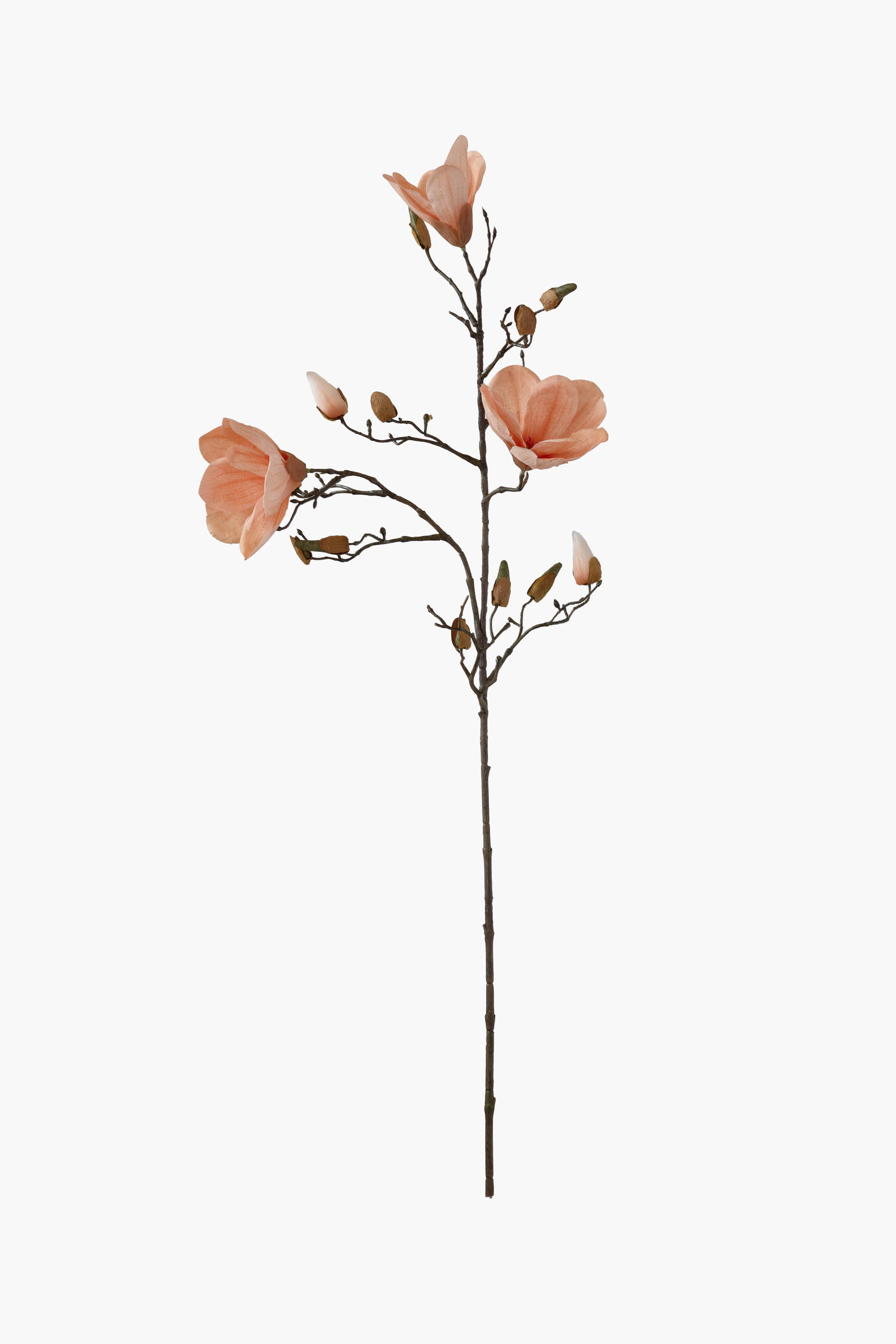 90cm Medium Branch Yulan Magnolia (Real Touch) - Orange