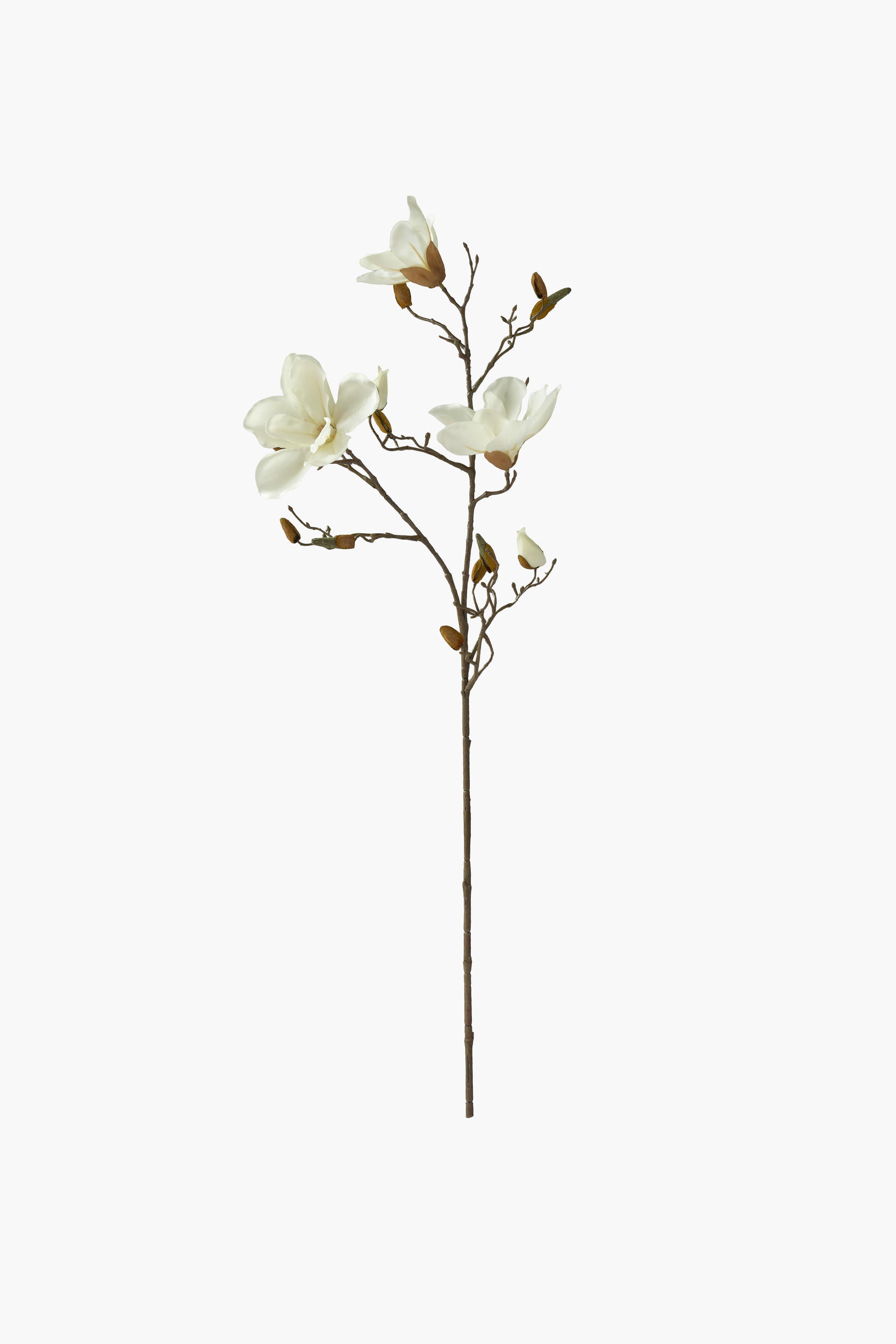 90cm Medium Branch Yulan Magnolia (Silk Fabric) - Beige