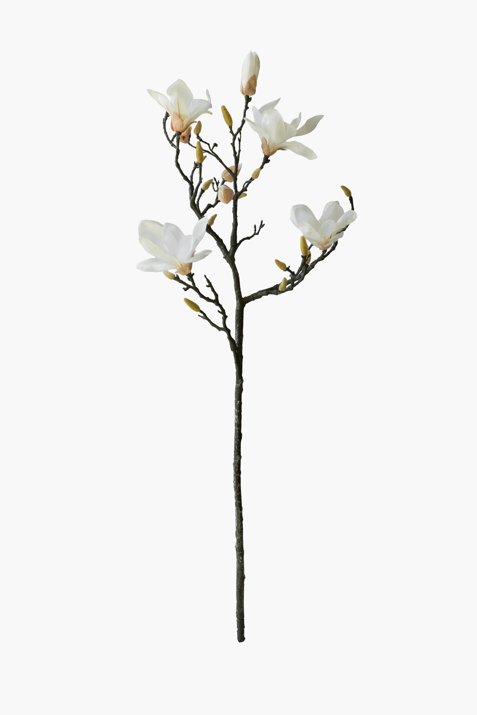 Large Branch Yulan Magnolia - White (Thick Stem)