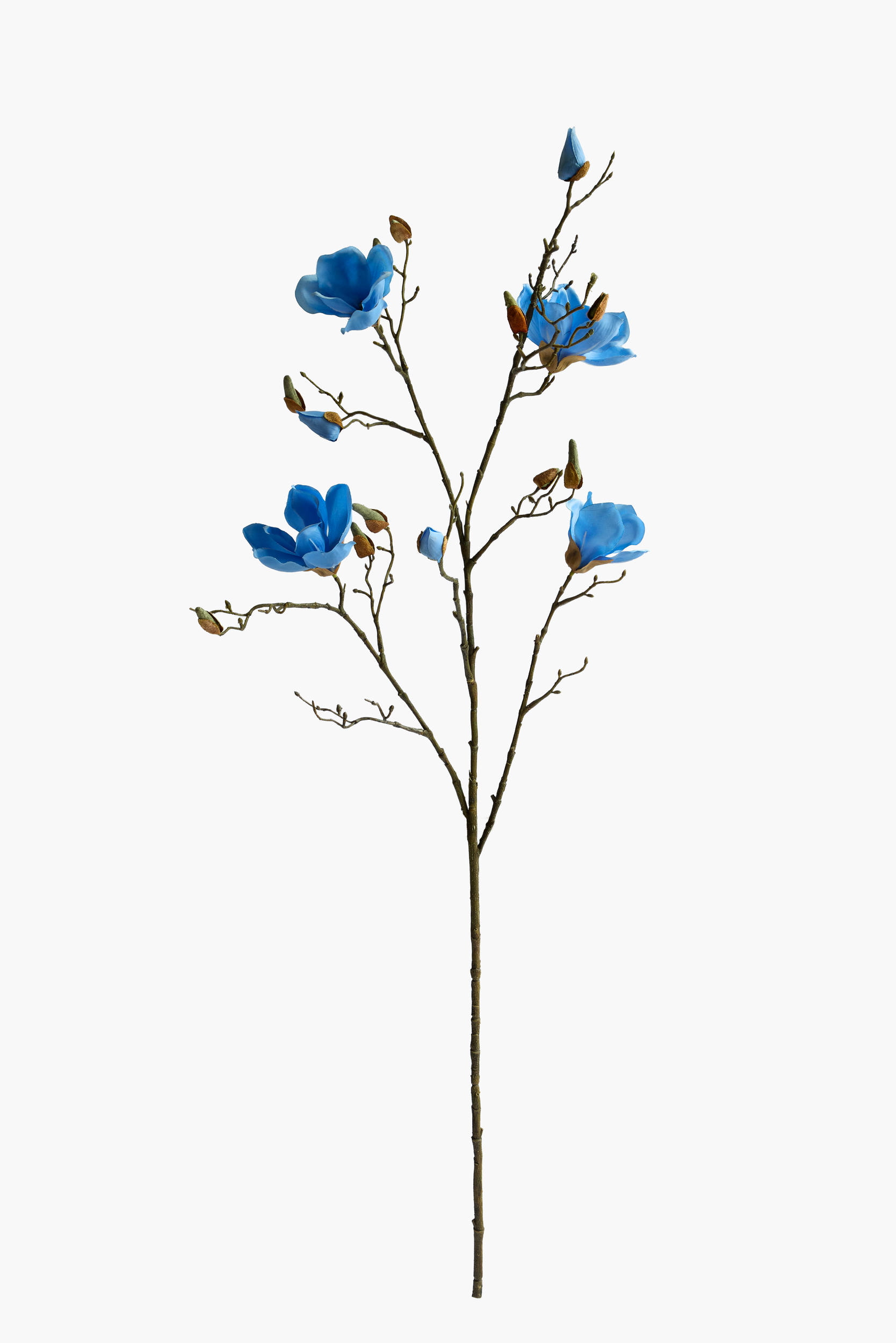 112cm Large Branch Yulan Magnolia - Blue