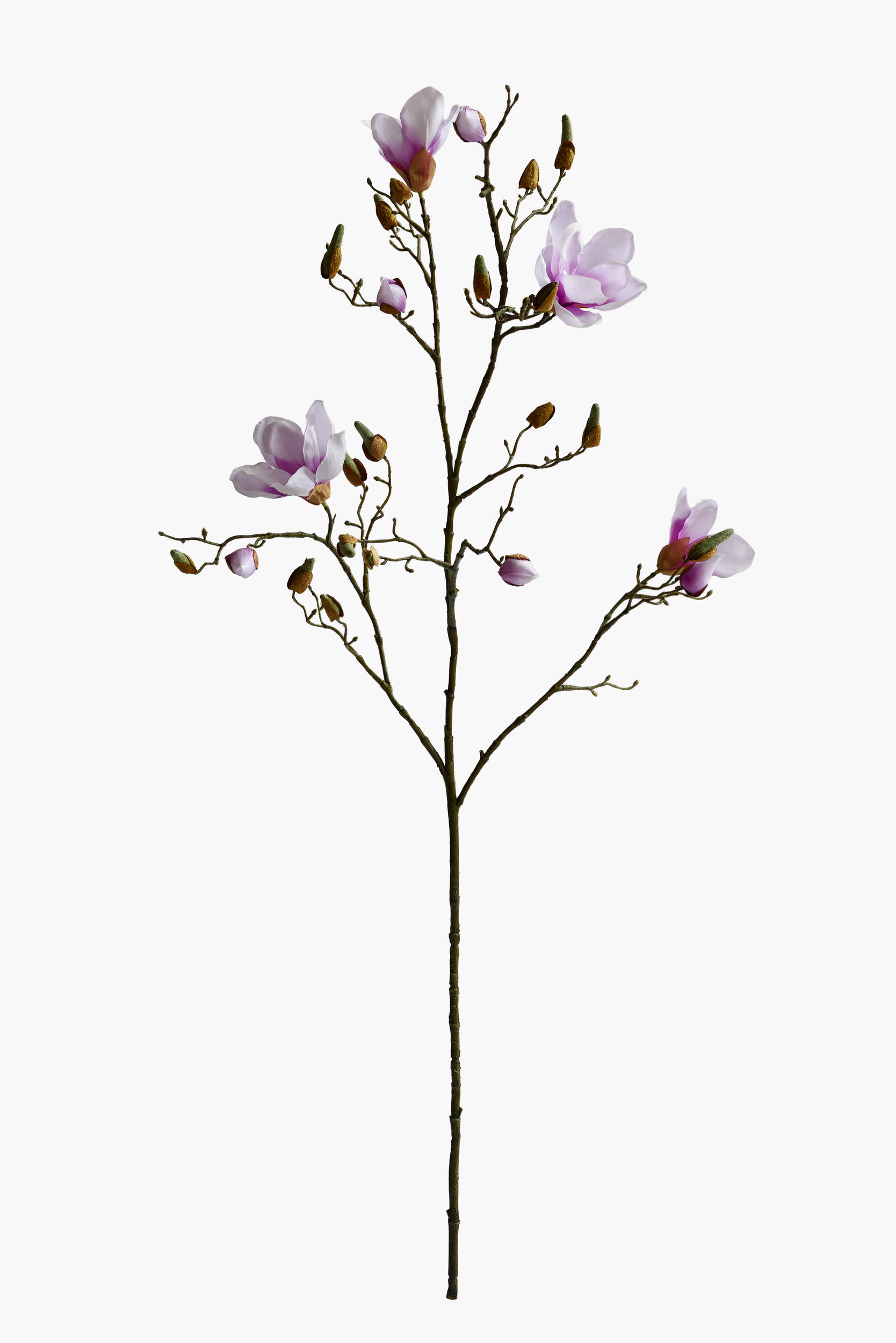 112cm Large Branch Yulan Magnolia - Lavender
