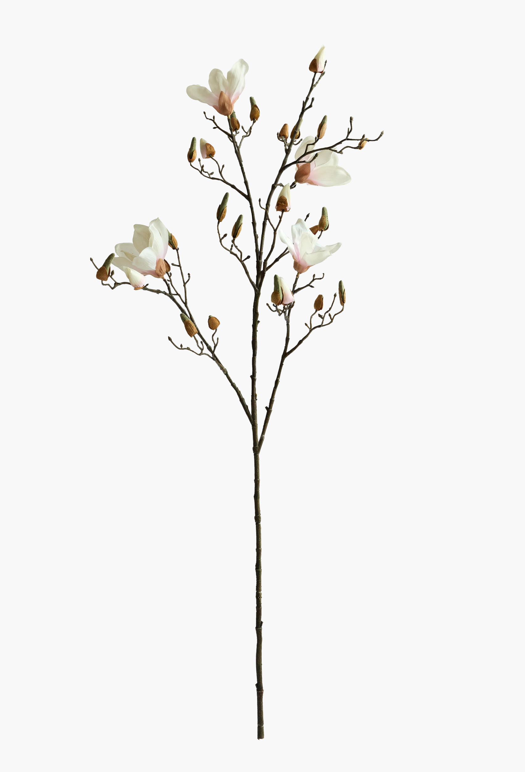 112cm Large Branch Yulan Magnolia - Light Pink