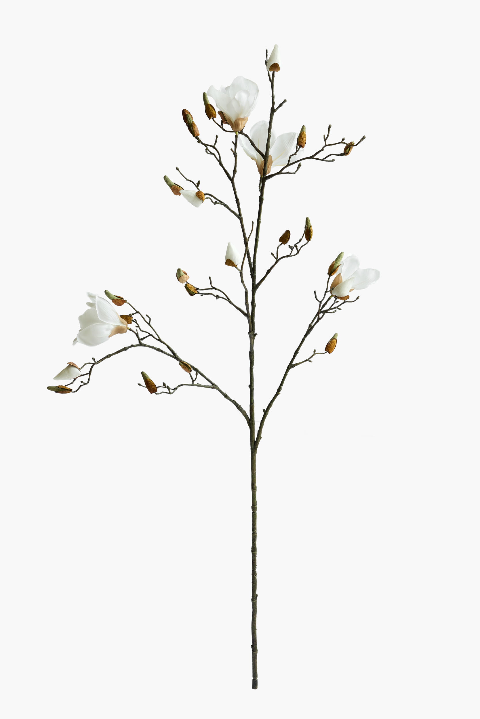 112cm Large Branch Yulan Magnolia - White
