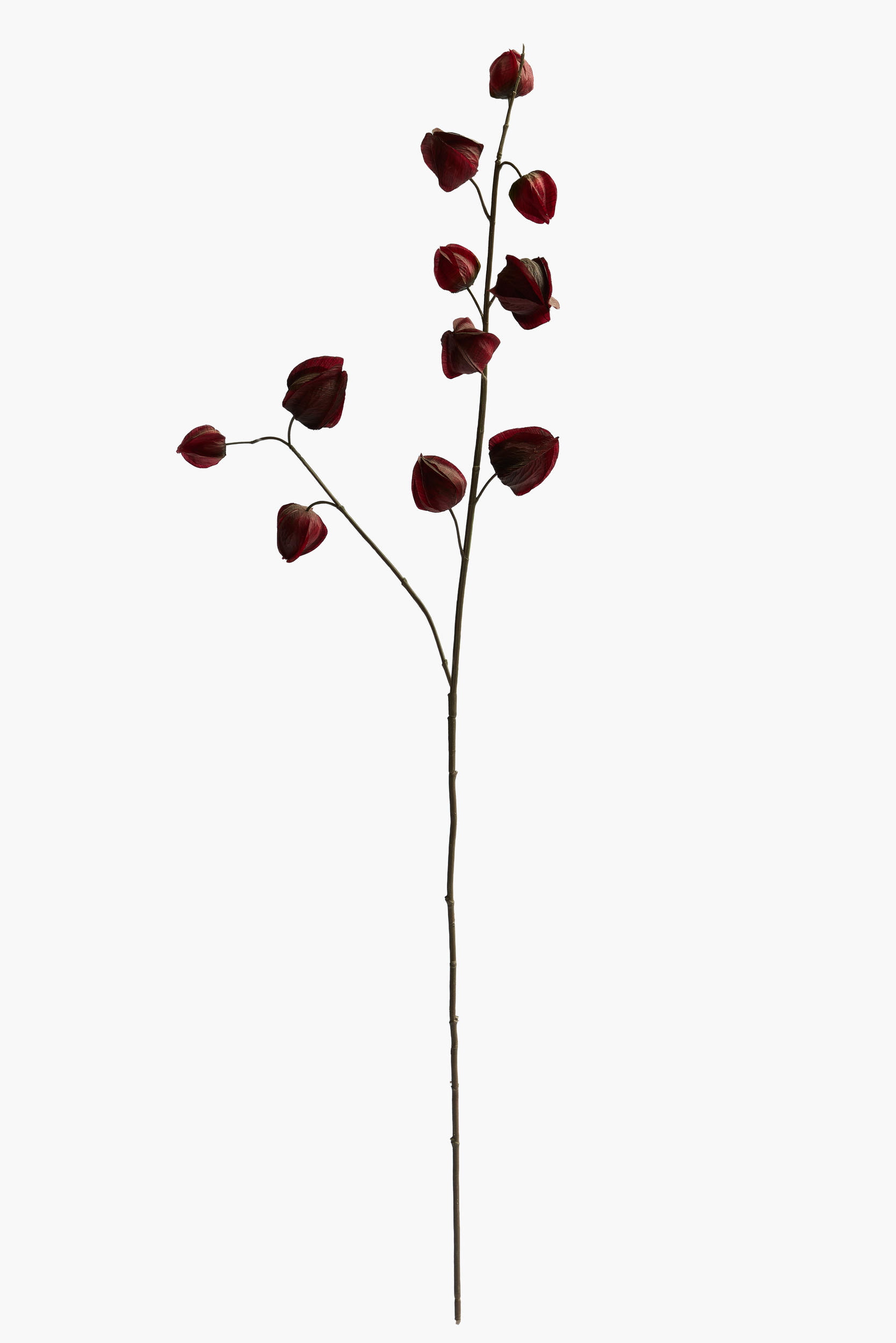 Medium Branch Physalis - Color 13