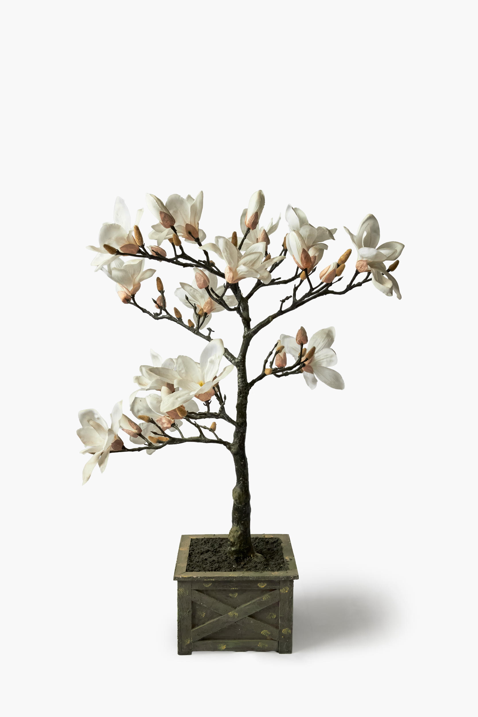 Magnolia Tree - Cream