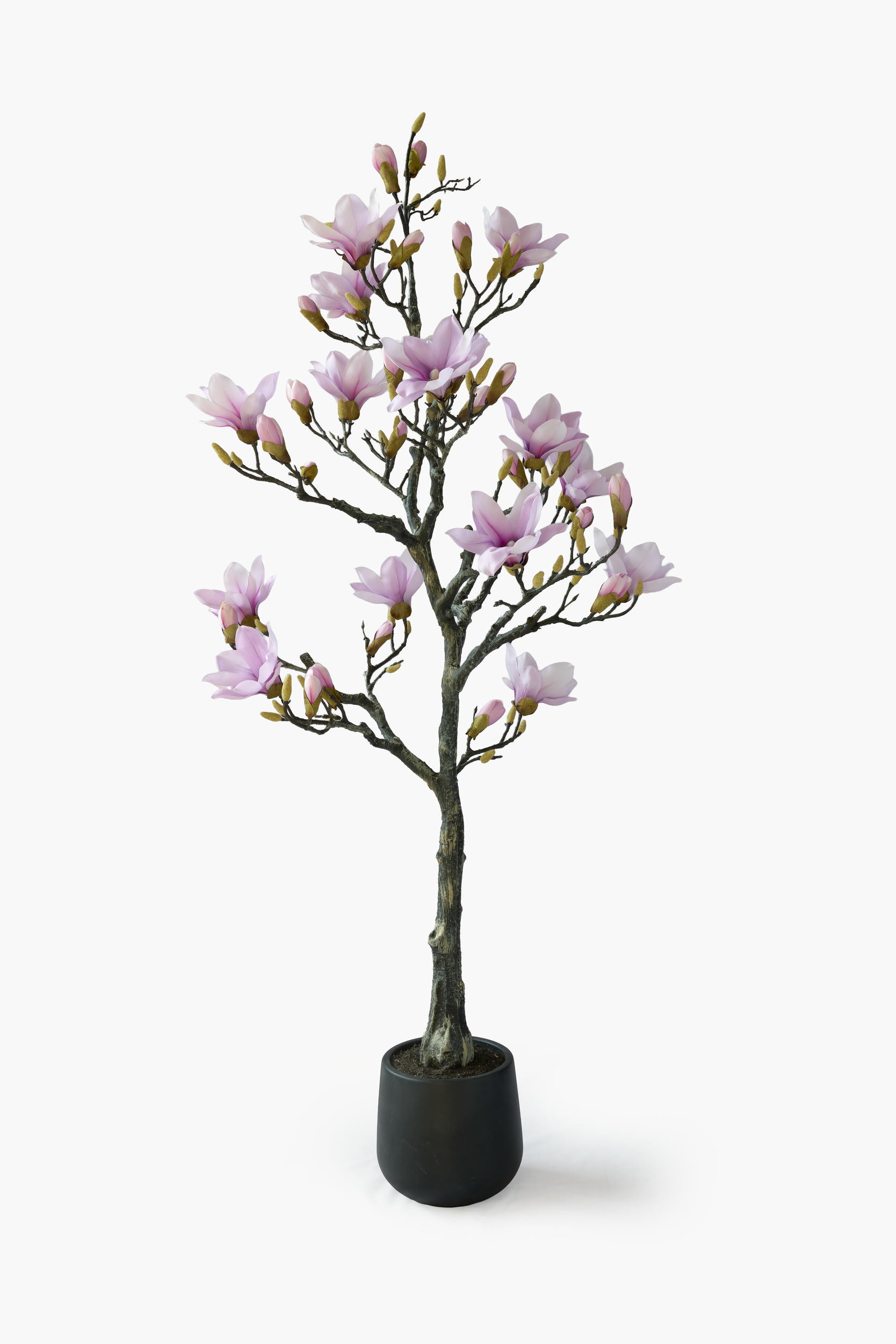 Magnolia Tree - Light Purple