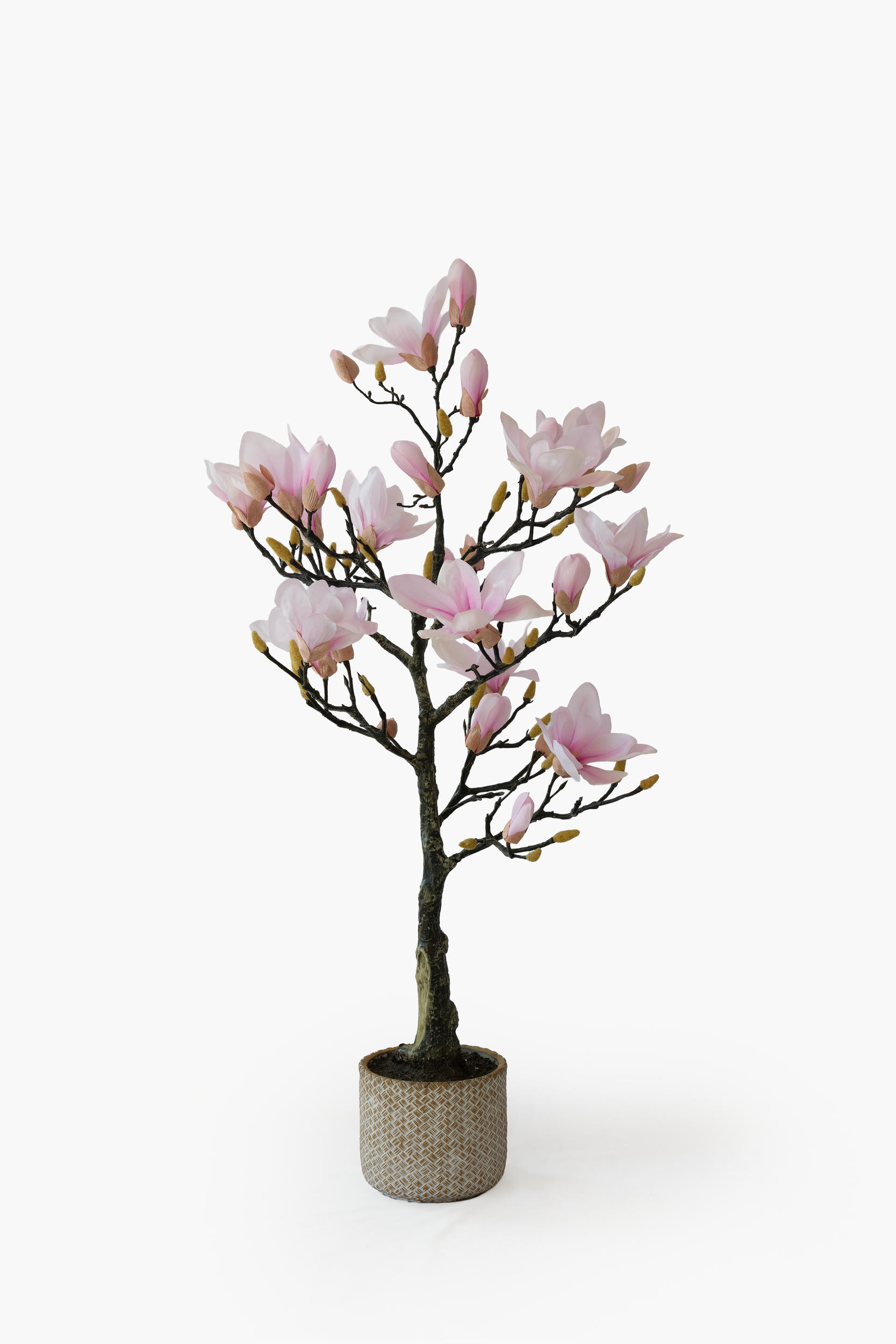 Magnolia Tree - Pink